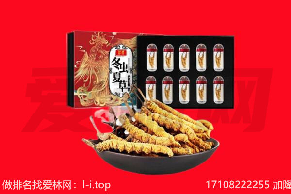 平顶山叶县回收虫草.jpg